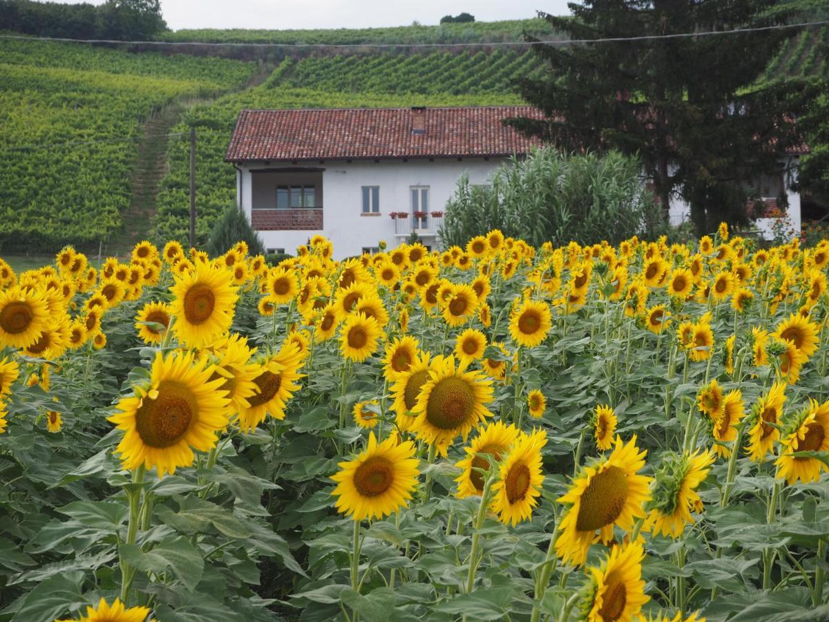 Bed and Breakfast Casa Del Roseto Belveglio Exterior foto