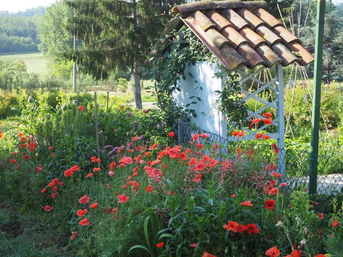 Bed and Breakfast Casa Del Roseto Belveglio Exterior foto
