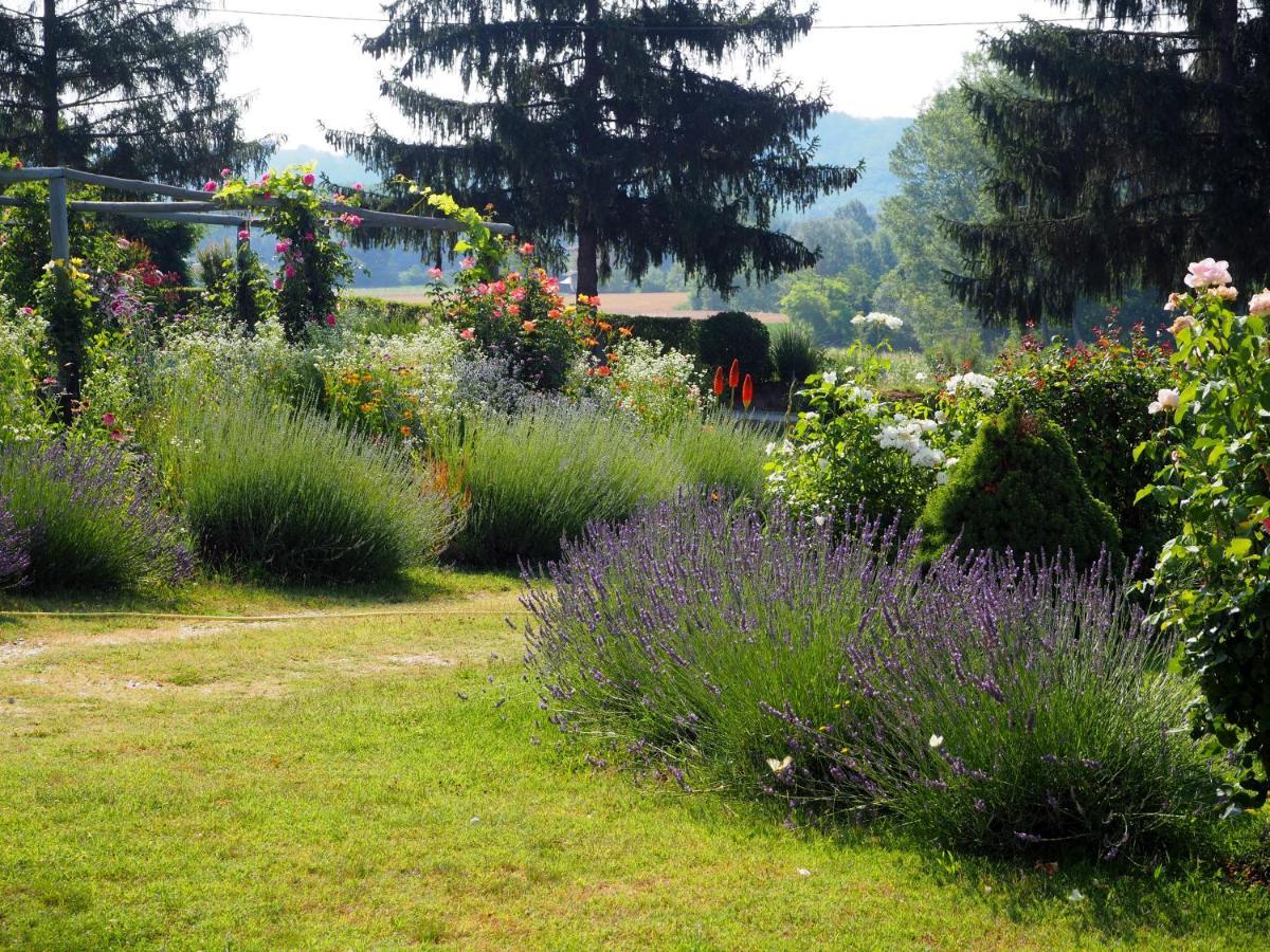 Bed and Breakfast Casa Del Roseto Belveglio Exterior foto