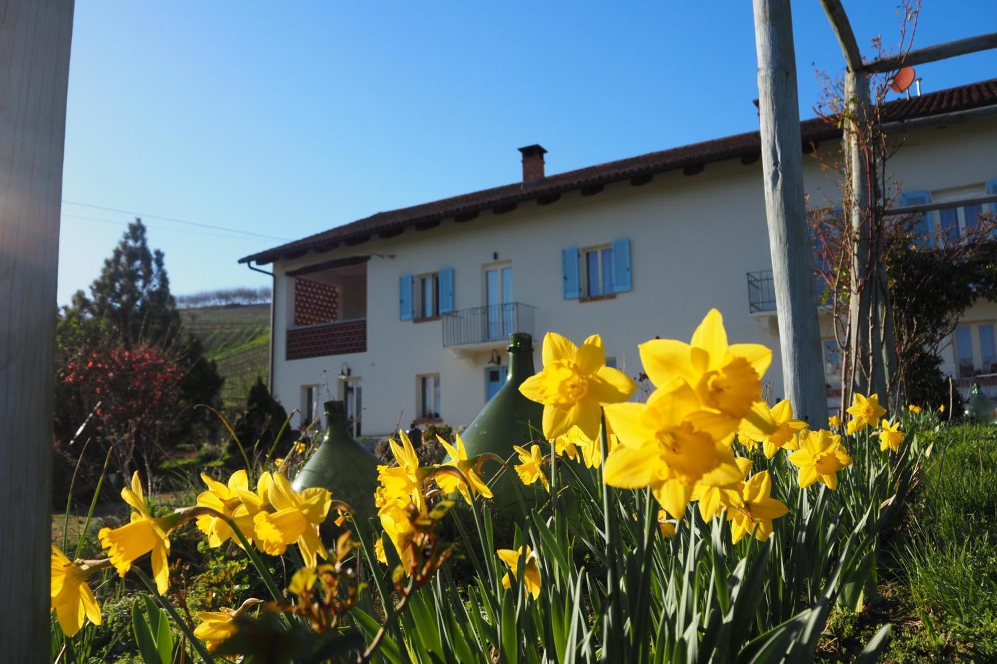 Bed and Breakfast Casa Del Roseto Belveglio Exterior foto